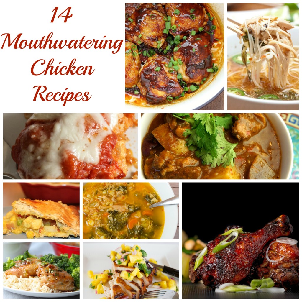 14 MOUTHWATERING CHICKEN RECIPES | Food Huntress
